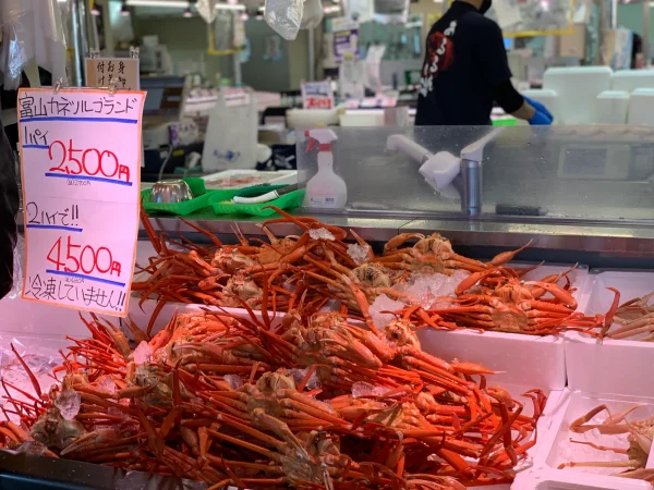 上越あるるんの海