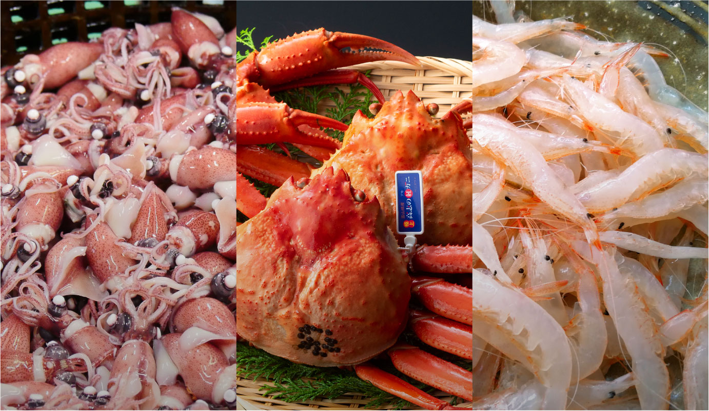 商品ラインナップ